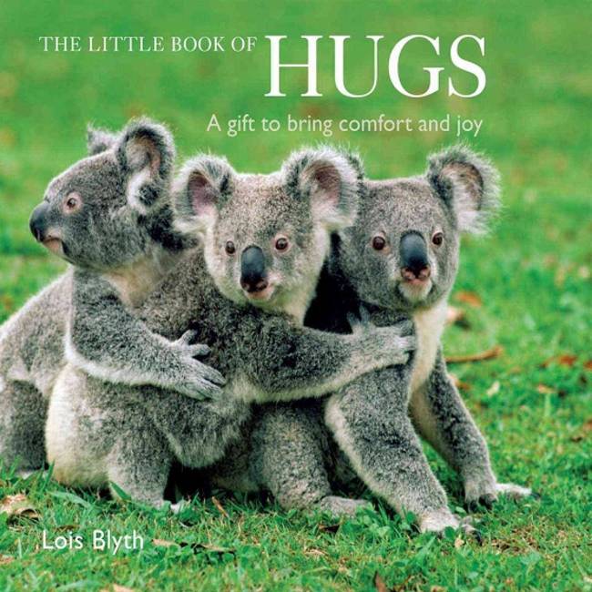 The Little Book of Hugs A Gift to Bring Comfort and Joy