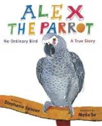 Alex The Parrot product image