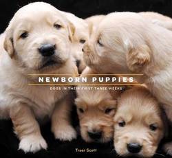 Newborn Puppies product image