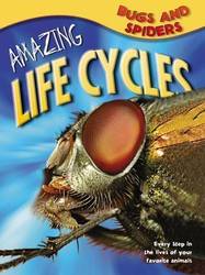 Amazing Life Cycles: Bugs and Spiders product image