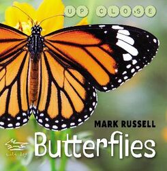 Butterflies product image