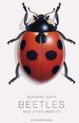 Beetles and Other Insects Bernard Durin product image