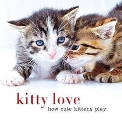 Kitty love : How cute kittens play product image