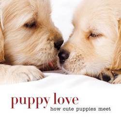 Puppy love : How cute puppies meet product image